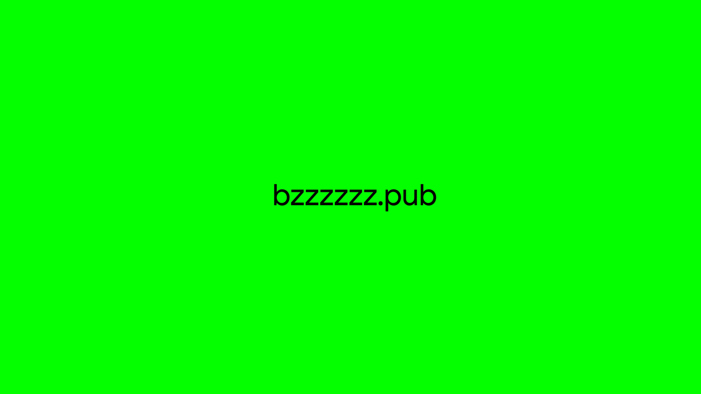 bzzzzzz.pub